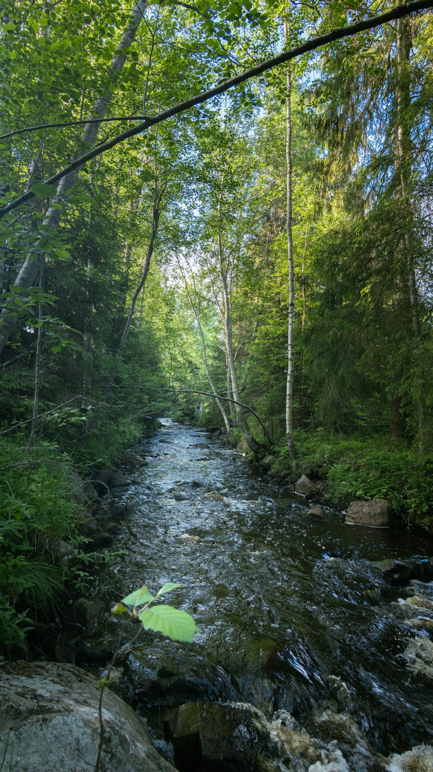 Vivere la natura rispettando gli habitat